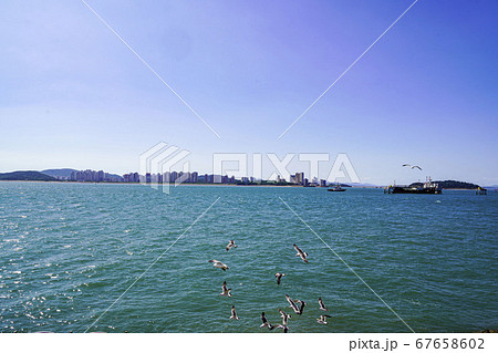 中区 月尾島 海 67658602