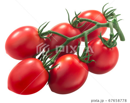 Cluster of plum antho-rich tomatoes on the vine, Cluster of plum antho-rich tomatoes on the vine, 67658778