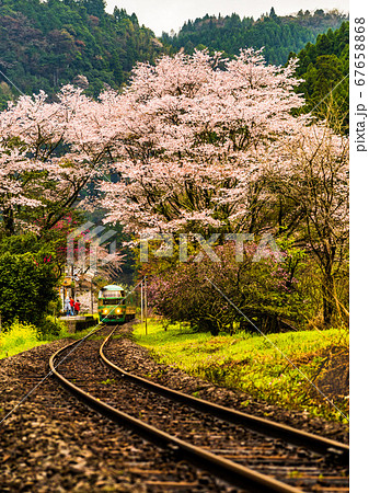JR豊後中川駅の列車と桜のコラボ JR豊後中川駅の列車と桜のコラボ 67658868