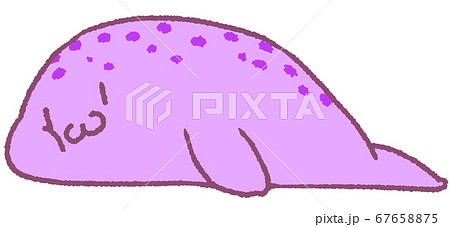 パステルカラーの寝そべるゴマフアザラシ 紫色 のイラスト素材