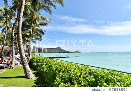 ハワイの休日 ハワイの休日 67658892