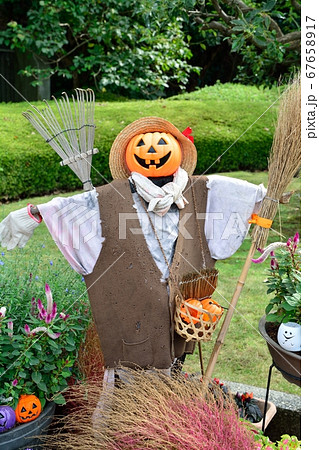 ハロウィン 67658917