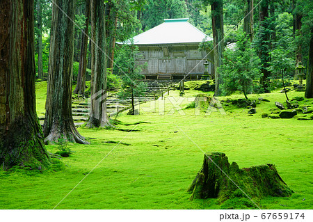 平泉寺白山神社 拝殿 苔寺 初夏 平泉寺白山神社 拝殿 苔寺 初夏 67659174