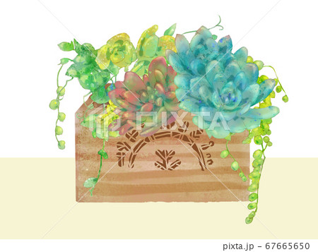 多肉植物 ナチュラルライフの植物イラストのイラスト素材