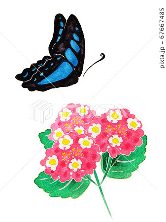 花と蝶々のイラスト素材
