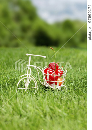 芝生と小物 自転車 サクランボの写真素材 [67669174] - PIXTA