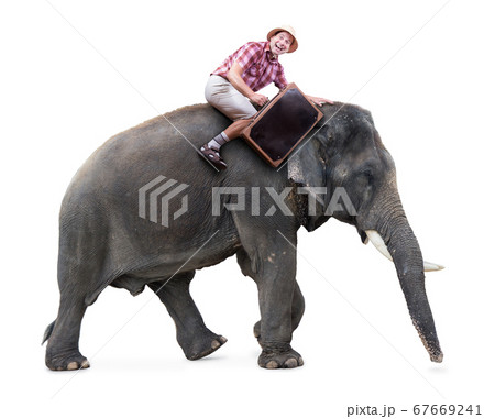 happy tourist rides on an elephant carrying a happy tourist rides on an elephant carrying a 67669241