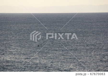 広い 海 一人 城ヶ島 67670063