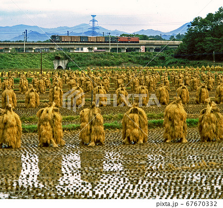 鉄道　国鉄：ED75重連 牽引貨物列車     金谷川～松川 間 67670332