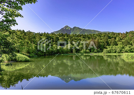 利尻島・姫沼 67670611
