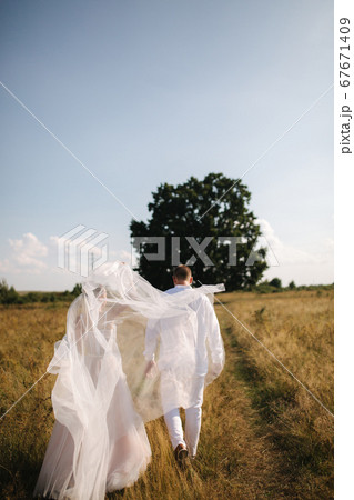 Back view of wedding couple walk to big tree in field. Groom and bride outdoors. Summer wedding Back view of wedding couple walk to big tree in field. Groom and bride outdoors. Summer wedding 67671409