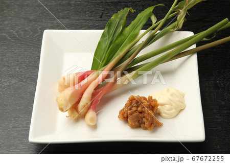 谷中生姜 谷中生姜 67672255