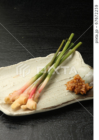 谷中生姜 谷中生姜 67672259
