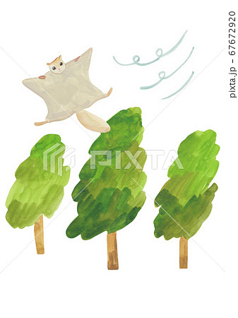 動物 ムササビ 木 67672920