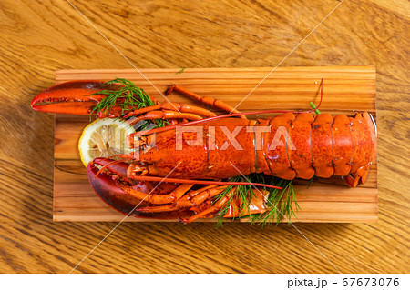 ロブスター Large lobster from eastern Canada ロブスター Large lobster from eastern Canada 67673076