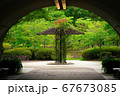 トンネルの先にある緑 67673085