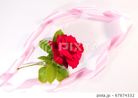 バラ　ギフト　プレゼント　イメージ 67674332