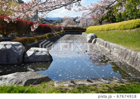 松岡城址公園へ行きました　　＃22 67674918
