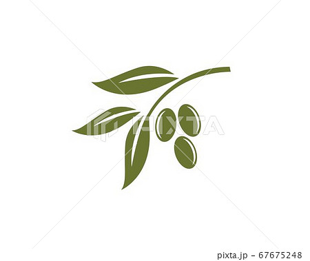 olive logo template 67675248