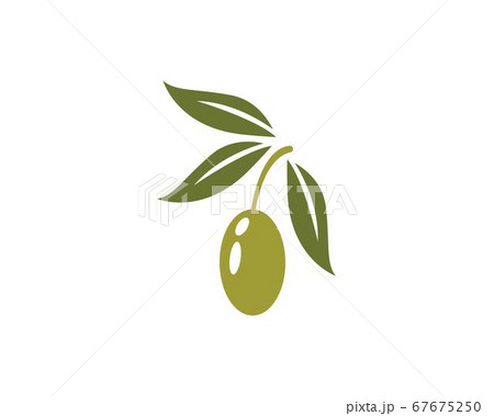 olive logo template 67675250