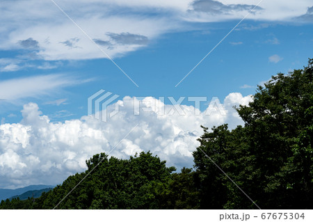 樹林の向こうに見える夏の空とコピースペース 67675304