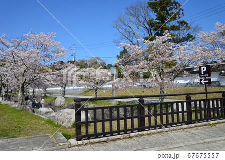 松岡城址公園へ行きました #36 松岡城址公園へ行きました #36 67675557