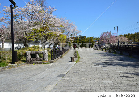 松岡城址公園へ行きました　　＃35 67675558