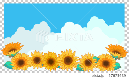 Sunflower And Summer Sky Background Stock Illustration