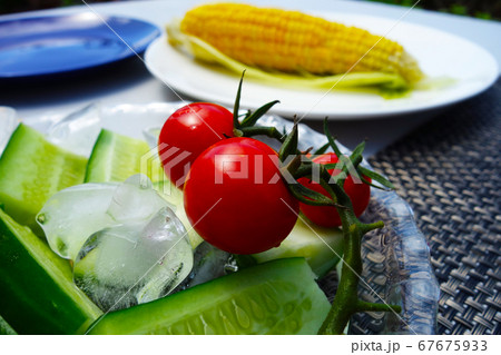 夏野菜 冷やして美味しいミニトマトとキュウリ 茹でたてのトウモロコシの写真素材