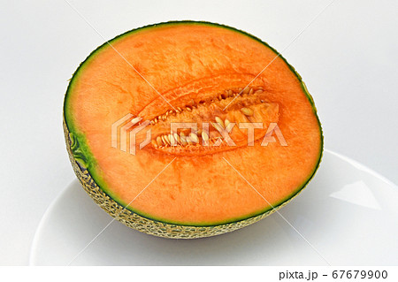 赤肉メロン 67679900
