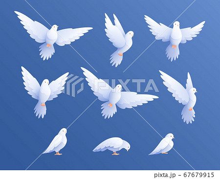 White Pigeons Doves Setのイラスト素材 White Pigeons Doves Setのイラスト素材