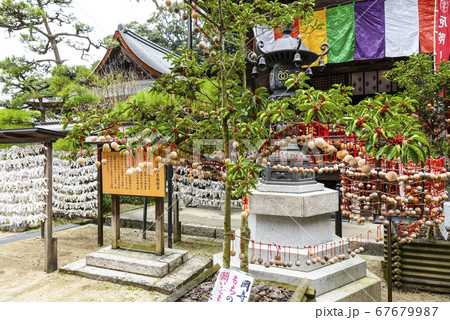 奈良 岡寺の龍玉願珠 奈良 岡寺の龍玉願珠 67679987