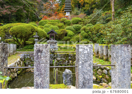 奈良　秋の岡寺境内　龍蓋池と十三重塔を望む 67680001