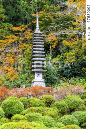 奈良　秋の岡寺の十三重塔 67680005