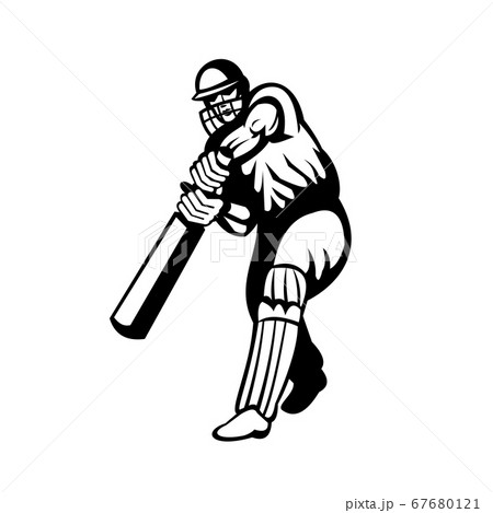 Cricket Batsman With Bat Batting Viewed From Frontのイラスト素材