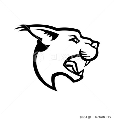 Head of Angry Caracal Side Mascot Black and White 67680145