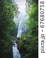 【愛媛県】白猪の滝 67680758