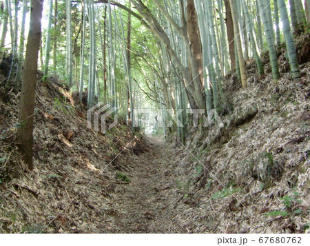 本佐倉城 本佐倉城 67680762