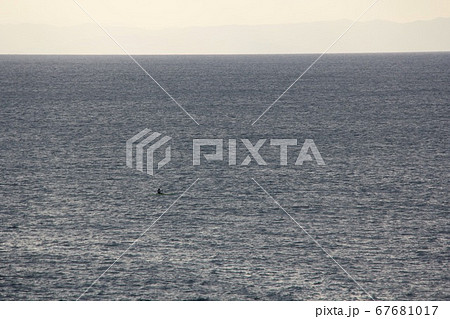 広い 海の中 一人 67681017