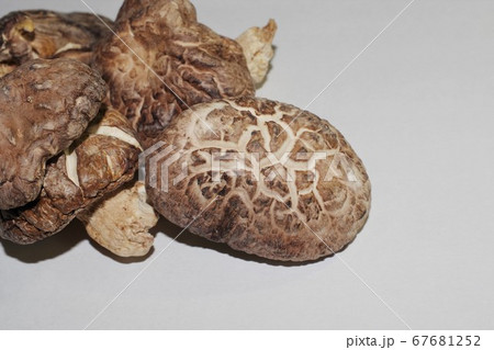 干しシイタケ 67681252