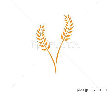 wheat Logo Template 67681664