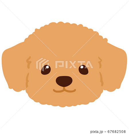 Illustration Of A Cute Chihuahua Front Face Stock Illustration