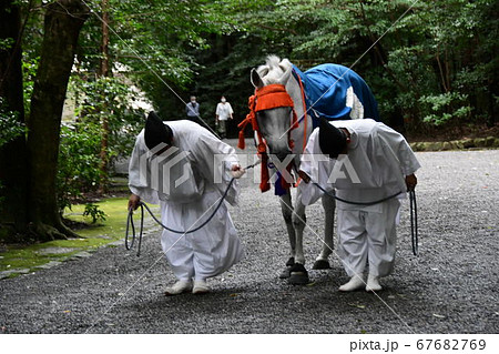伊勢神宮 外宮 神馬 伊勢神宮 外宮 神馬 67682769
