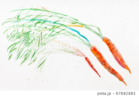 three carrots with foliage on white paper 67682883