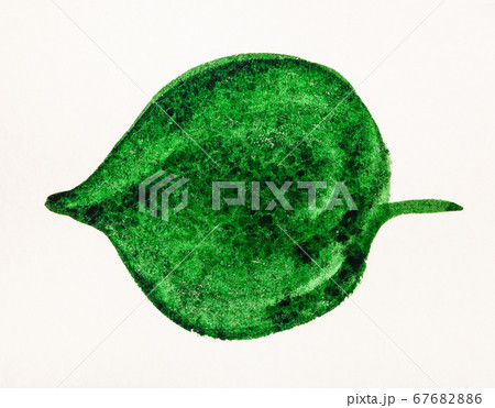green leaf of trees hand painted by watercolours green leaf of trees hand painted by watercolours 67682886