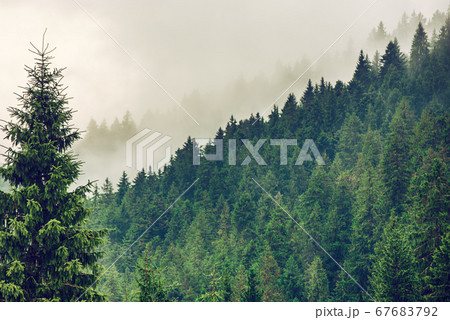 Misty mountain landscape Misty mountain landscape 67683792