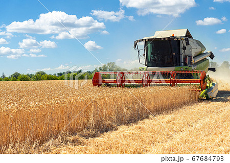 Scenic front view Big powerful industrial combine harvester machine reaping golden ripe wheat cereal field on bright summer or autumn day. Agricultural yellow field machinery landscape background Scenic front view Big powerful industrial combine harvester machine reaping golden ripe wheat cereal field on bright summer or autumn day. Agricultural yellow field machinery landscape background 67684793