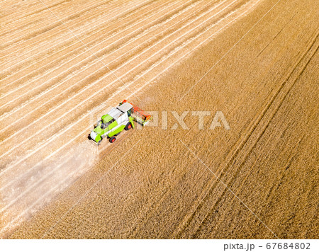 Aerial drone top view Big powerful industrial combine harvester machine reaping golden ripe wheat cereal field on bright summer or autumn day. Agricultural yellow field machinery landscape background 67684802