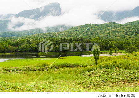 知床国立公園 67684909