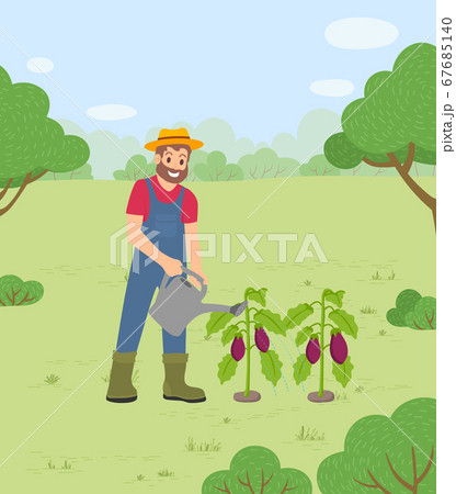Farming Man Watering Aubergines at Farm Vector Farming Man Watering Aubergines at Farm Vector 67685140